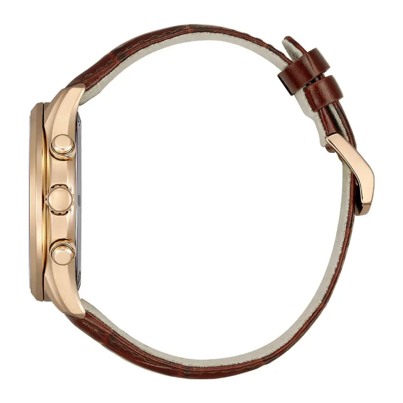 Citizen Eco-Drive AT2573-07X Brown Dial Leather Strap  Men'sWatch detail view