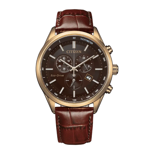 Citizen Eco-Drive AT2573-07X Brown Dial Leather Strap  Men'sWatch