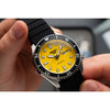 swatch