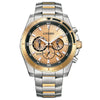 swatch