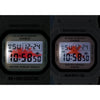 swatch