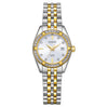 swatch
