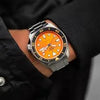 swatch