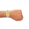 swatch