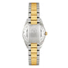 swatch